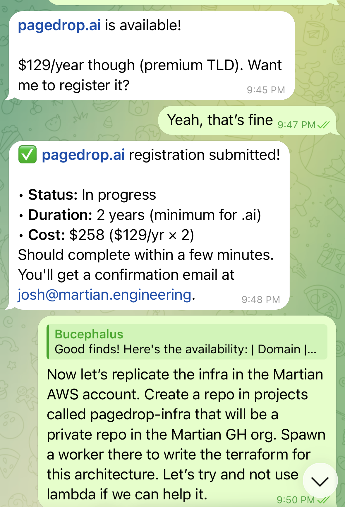 Screenshot of domain research and purchase
